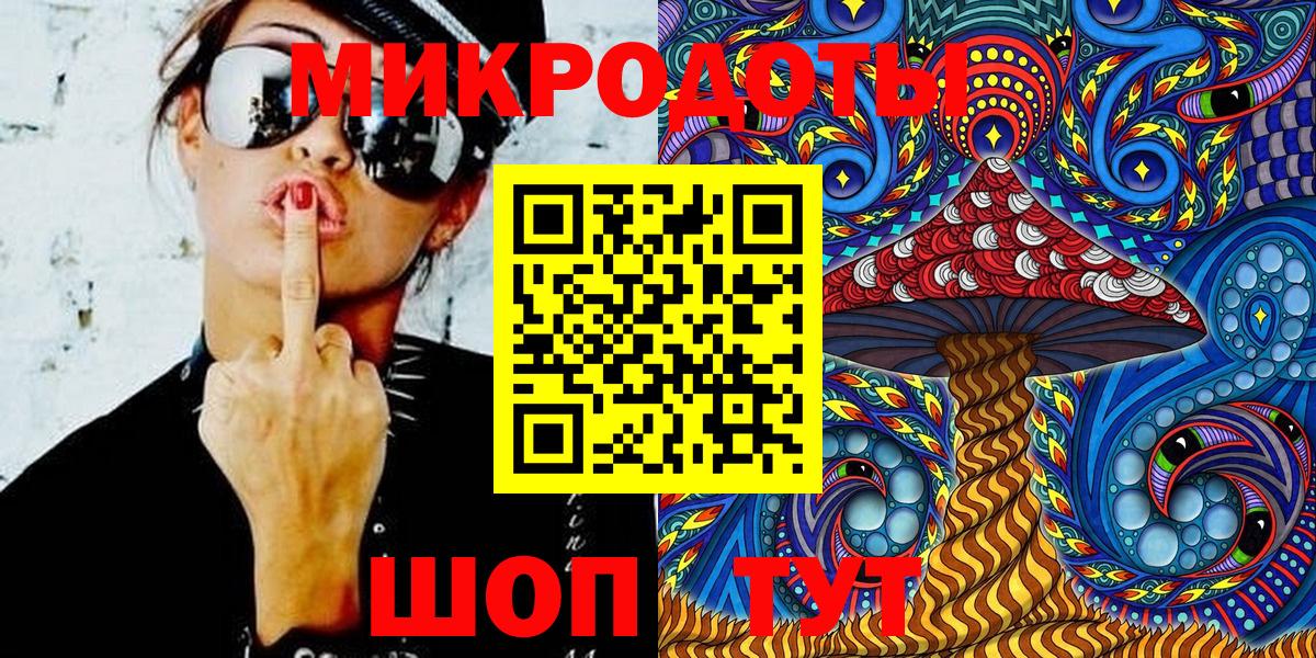 Галлюциногенные грибы Psilocybine cubensis Ярославль
