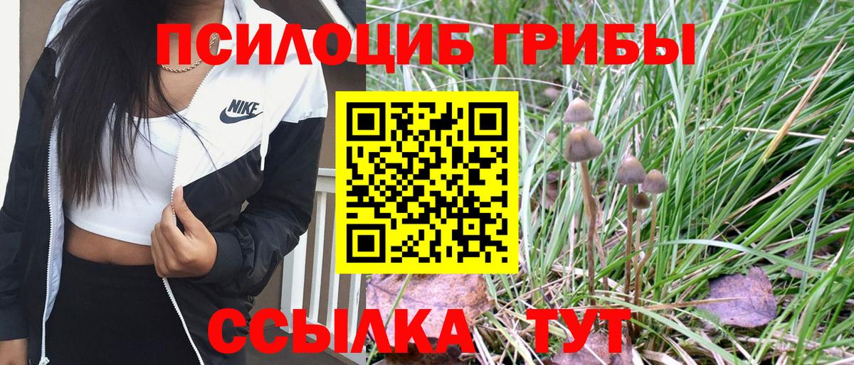 Галлюциногенные грибы MAGIC MUSHROOMS  Вход с VPN  Ярославль 